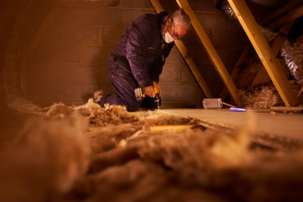 Best Insulation Installation Services in David City, NE